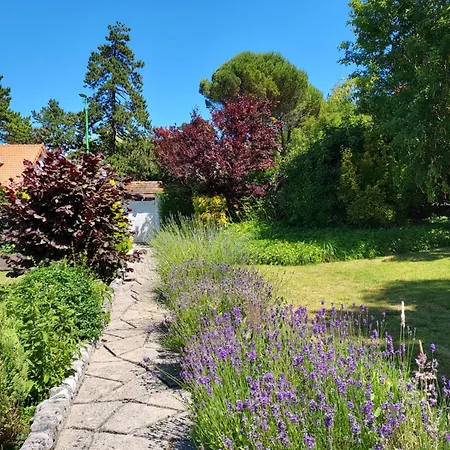 公寓 St Martin Petit-Caux
