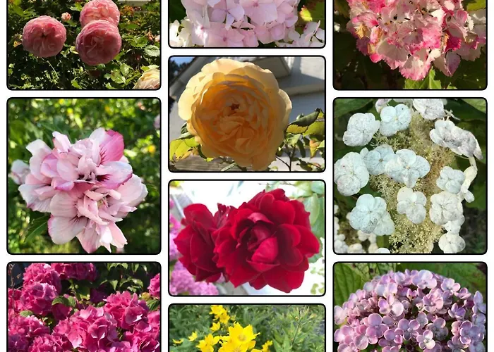 Apartment St Martin *